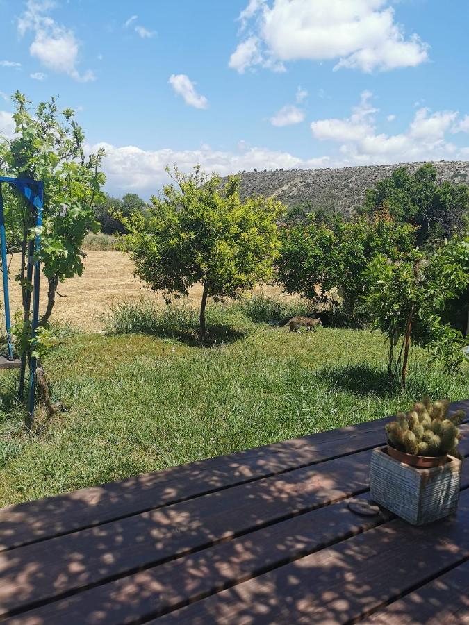 Ampelokipi Holiday Apartments Πισσούρι Εξωτερικό φωτογραφία