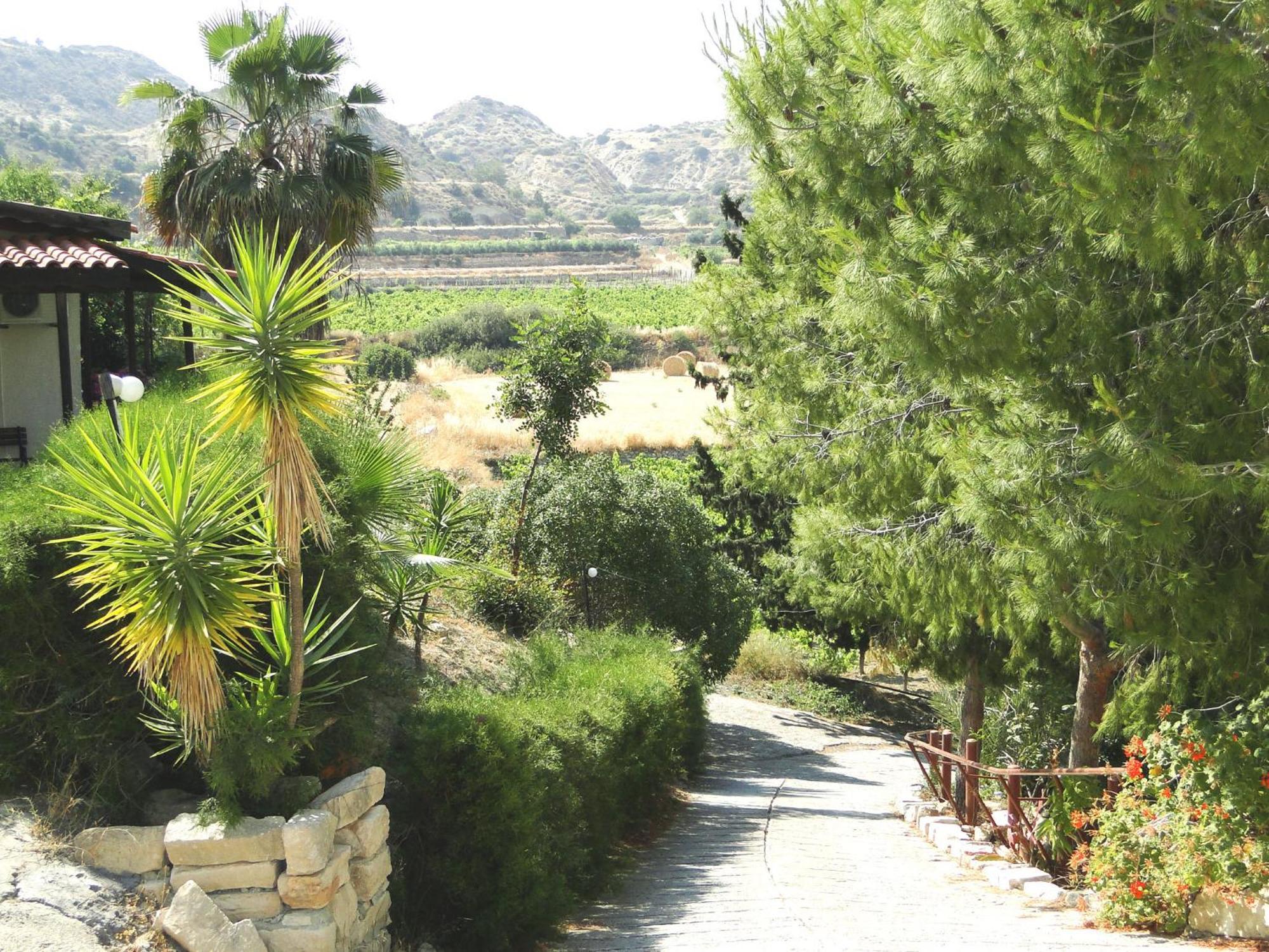 Ampelokipi Holiday Apartments Πισσούρι Εξωτερικό φωτογραφία