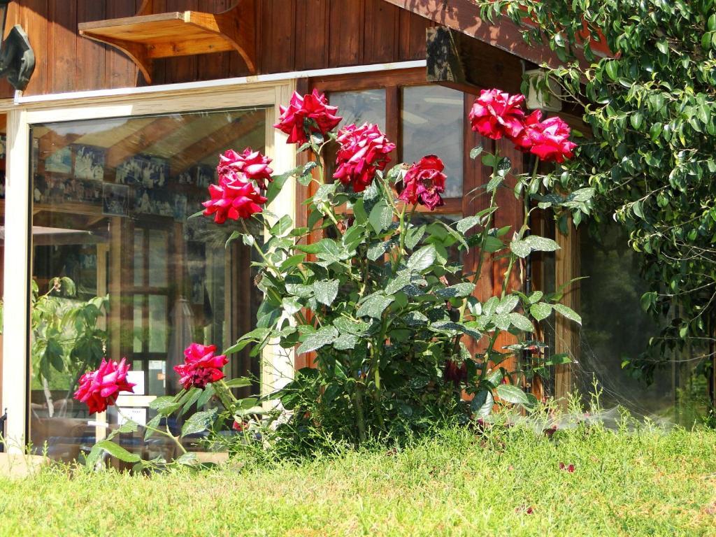 Ampelokipi Holiday Apartments Πισσούρι Εξωτερικό φωτογραφία